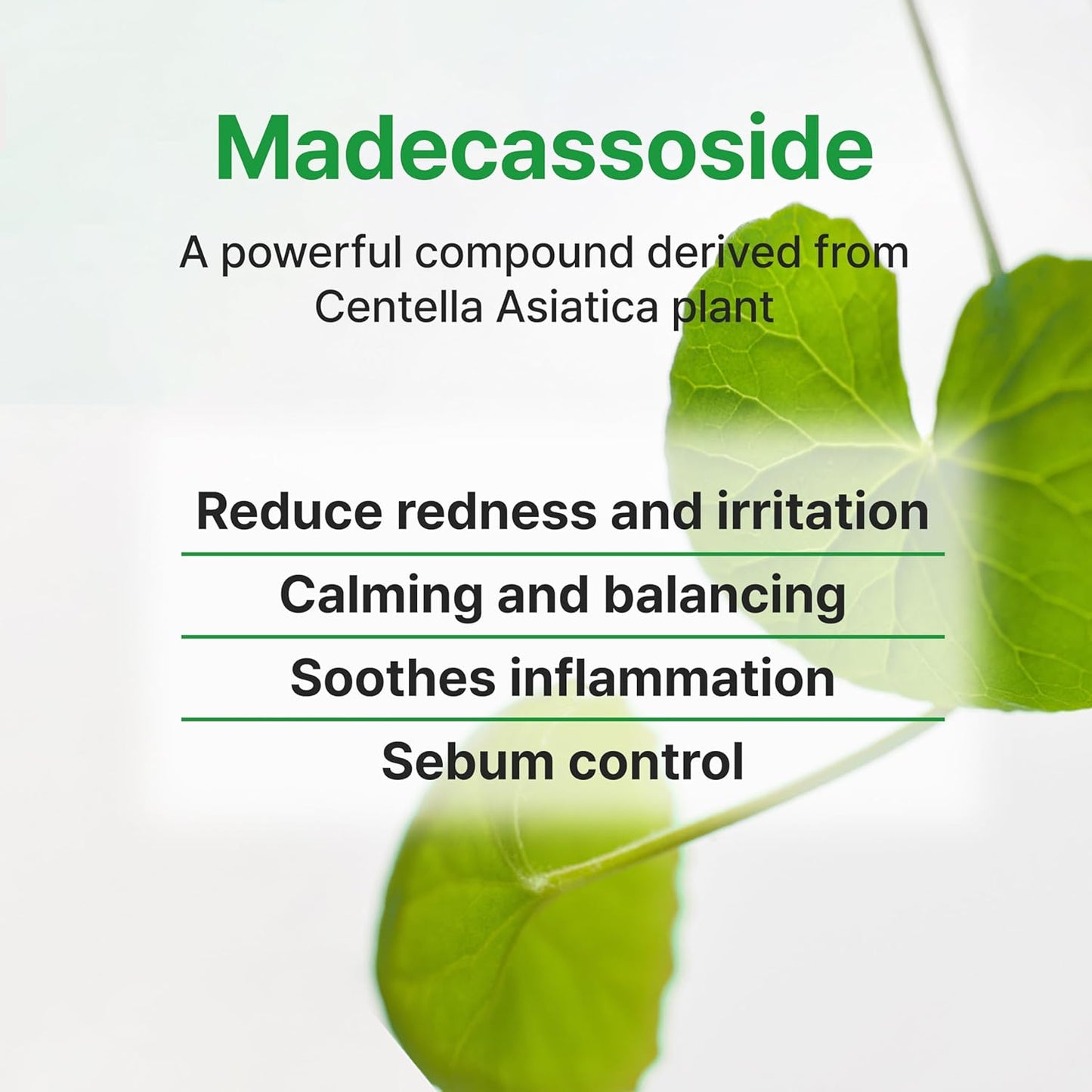 Calming Tea Tree Madecassoside Serum 45Ml 1.52 Fl Oz | Lightweight | Soothing | Madecassoside, Tea Tree, Centella Asiatica, Niacinamide | for Irritated Skin | Vegan Korean Skin Care