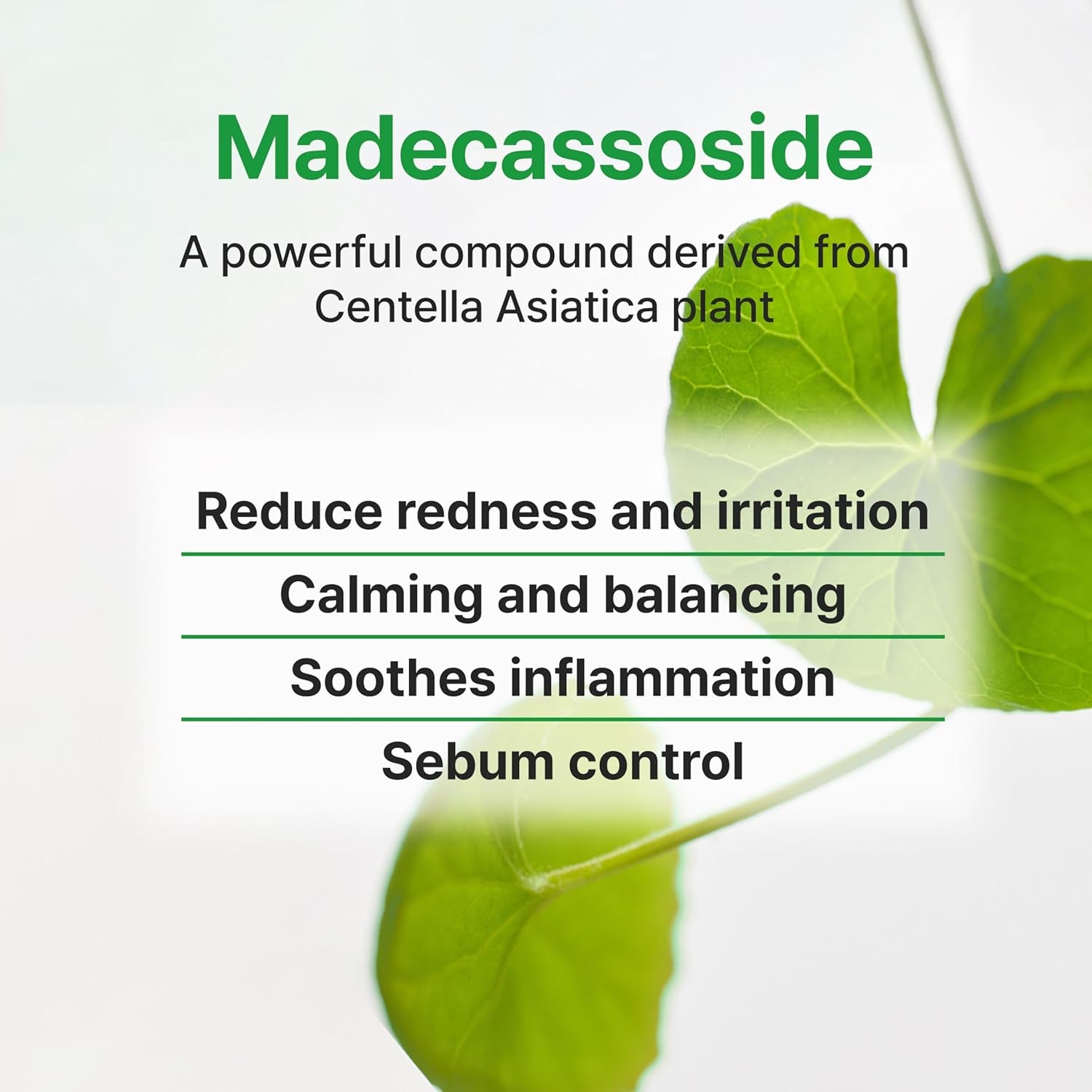 Calming Tea Tree Madecassoside Serum 45Ml 1.52 Fl Oz | Lightweight | Soothing | Madecassoside, Tea Tree, Centella Asiatica, Niacinamide | for Irritated Skin | Vegan Korean Skin Care